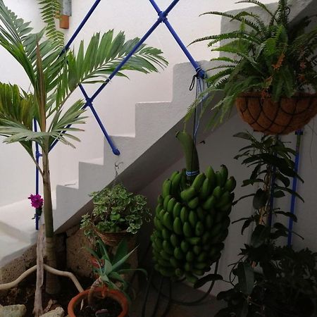 La Haciendita De La Casita Azul 푸에르토 드 라 크루즈 외부 사진