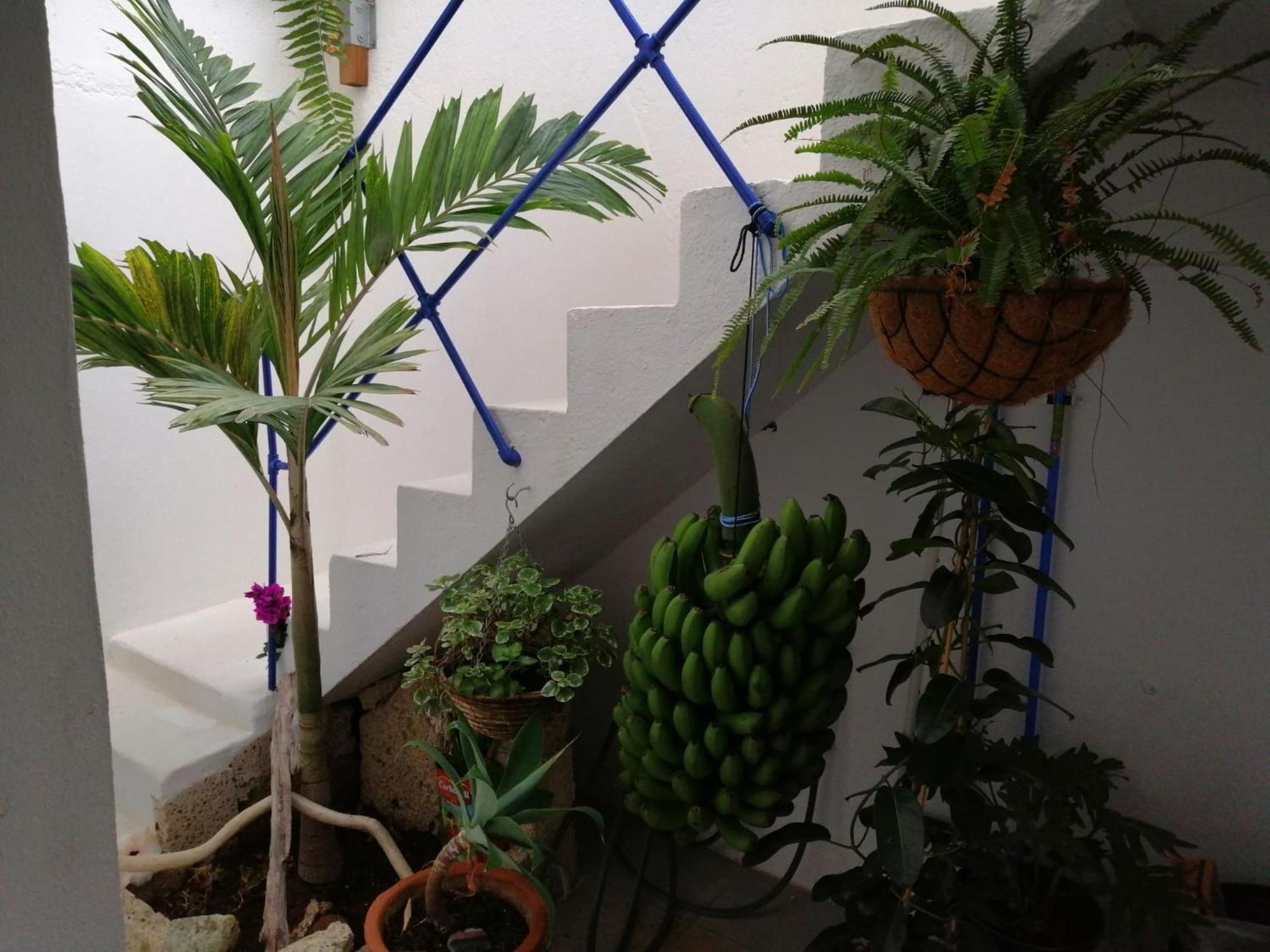 La Haciendita De La Casita Azul 푸에르토 드 라 크루즈 외부 사진